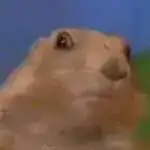 Dramatic Chipmunk
