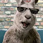 Megageil (Känguru)